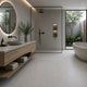 D-BASALTINA LIGHT GREY 60X60 MATE PORCEL