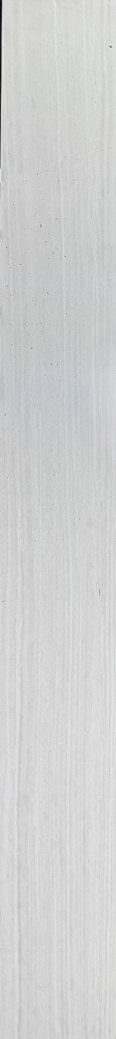 D-JAIPUR BLANC 30X260 RC STD PORCE