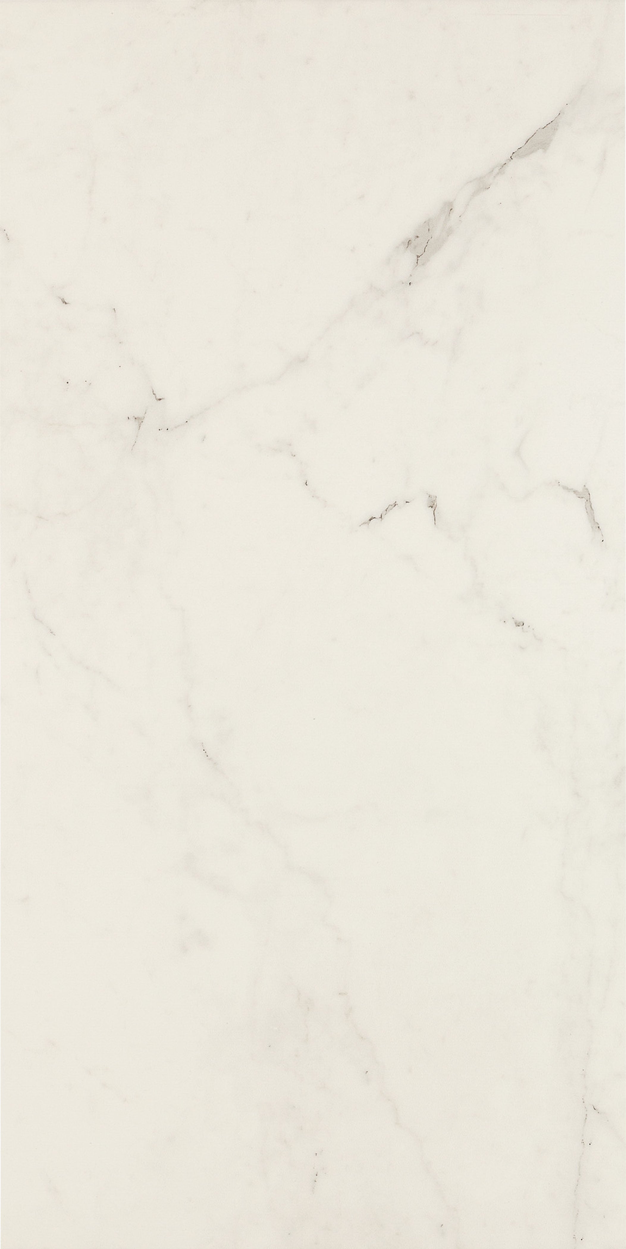 ALLMARBLE ALTISSIMO MATE 60X120