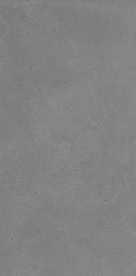 SASSI CENERE 60x120 NATURAL