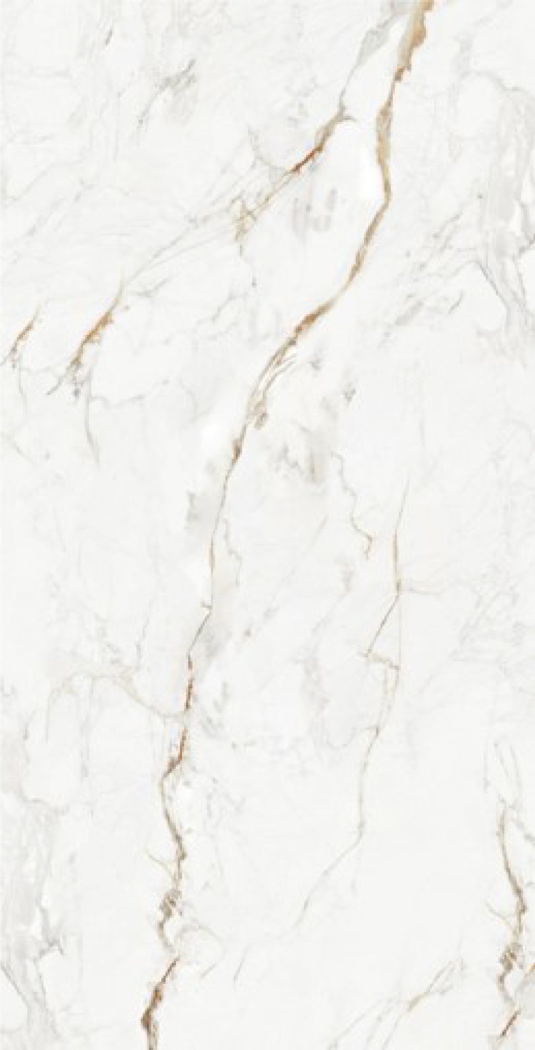 CALACATTA GOLD 30X90 BRILLANTE