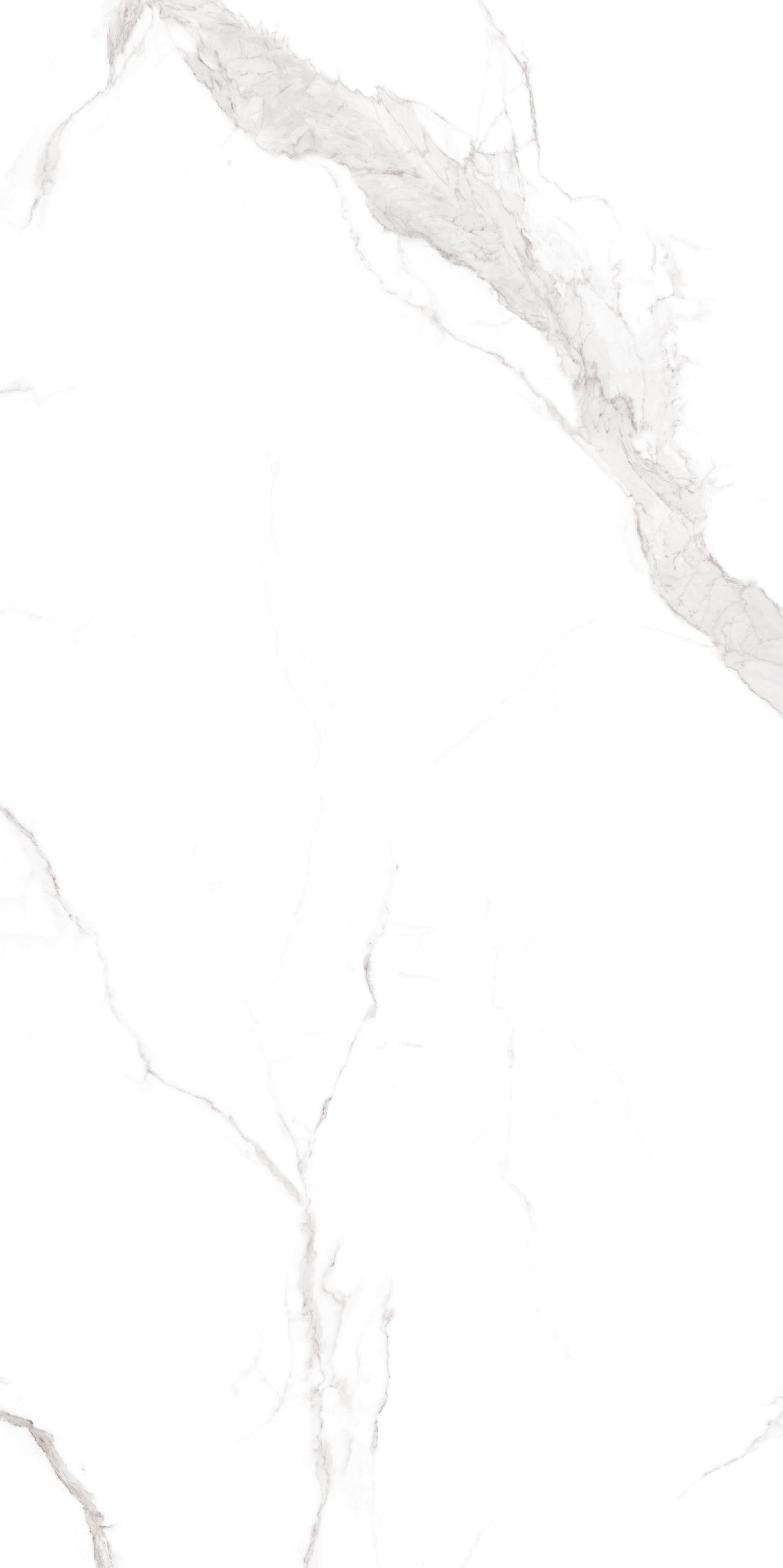 CALACATTA 120X240 EXTRA BRILLANTE