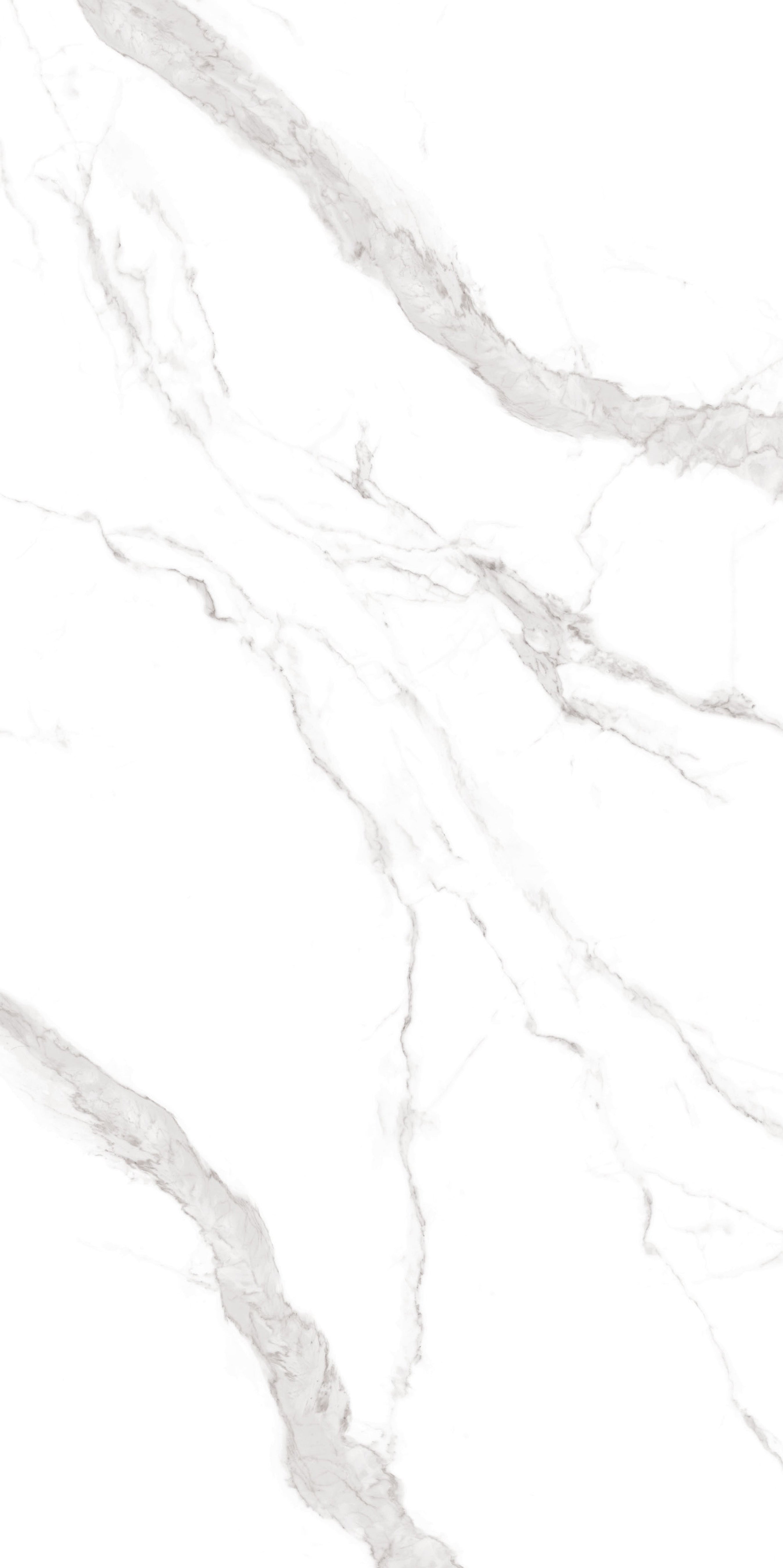 CALACATTA 120X240 EXTRA BRILLANTE