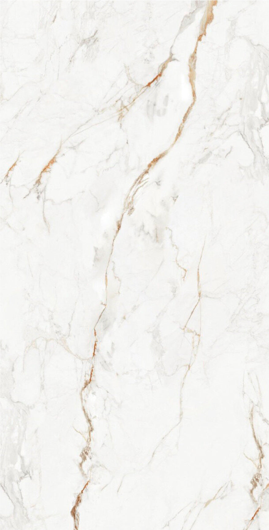 D-CALACATTA GOLD 120X240 EXTRA BRILLANTE