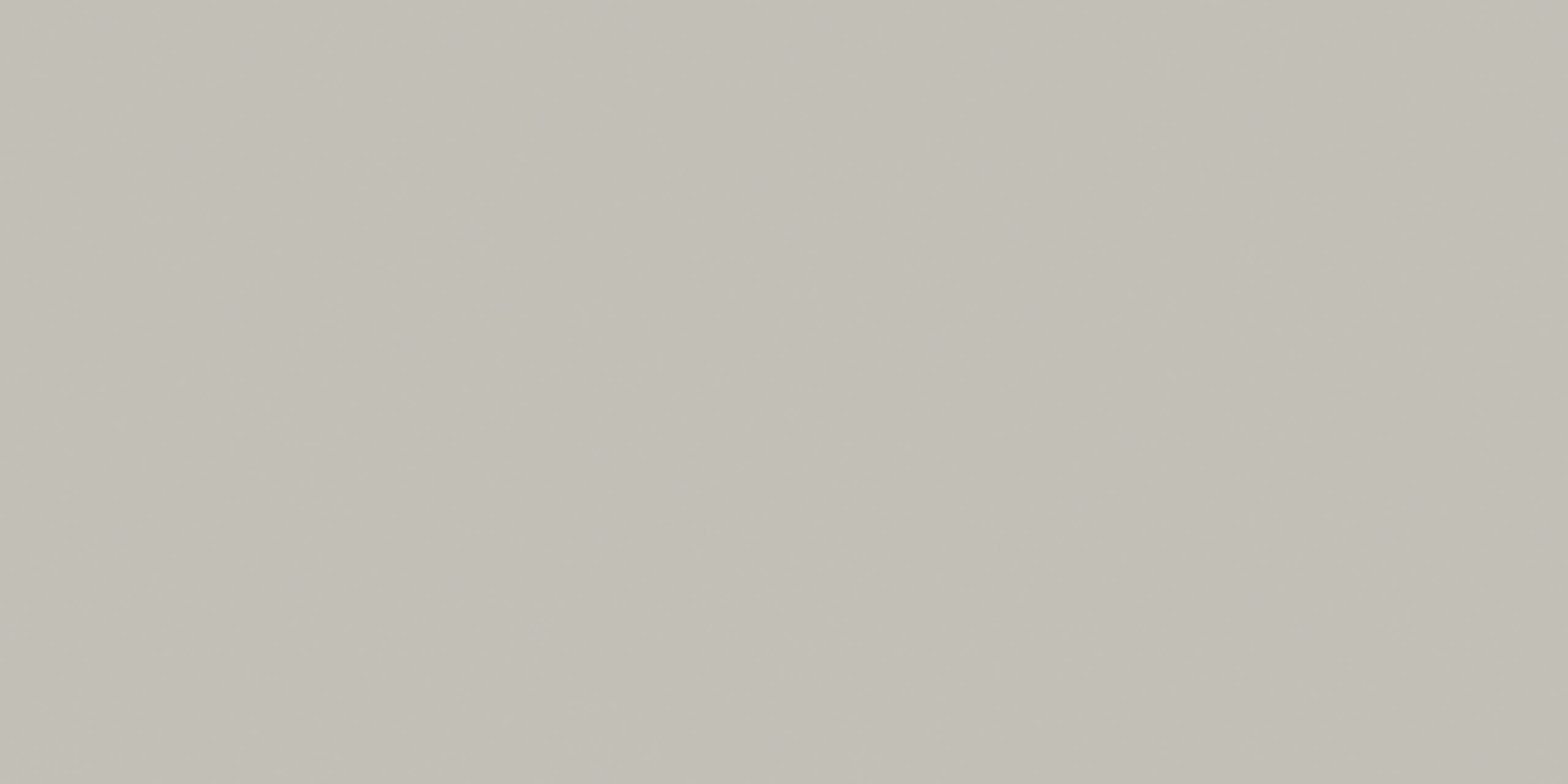 CARPENTER TAUPE 60X120 MATE RECT