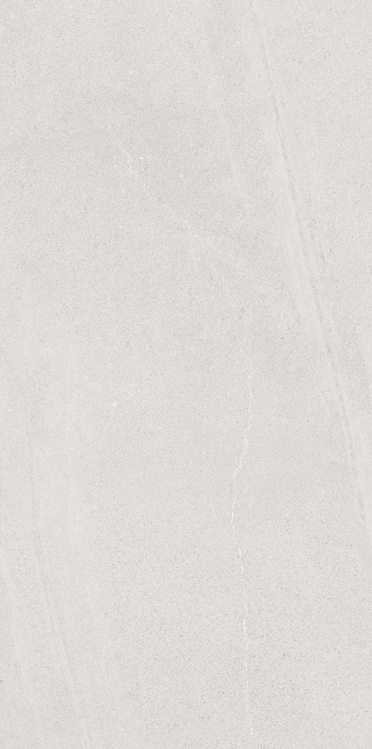 BELLEVUE WHITE 60X120 INOUT MATE RECT