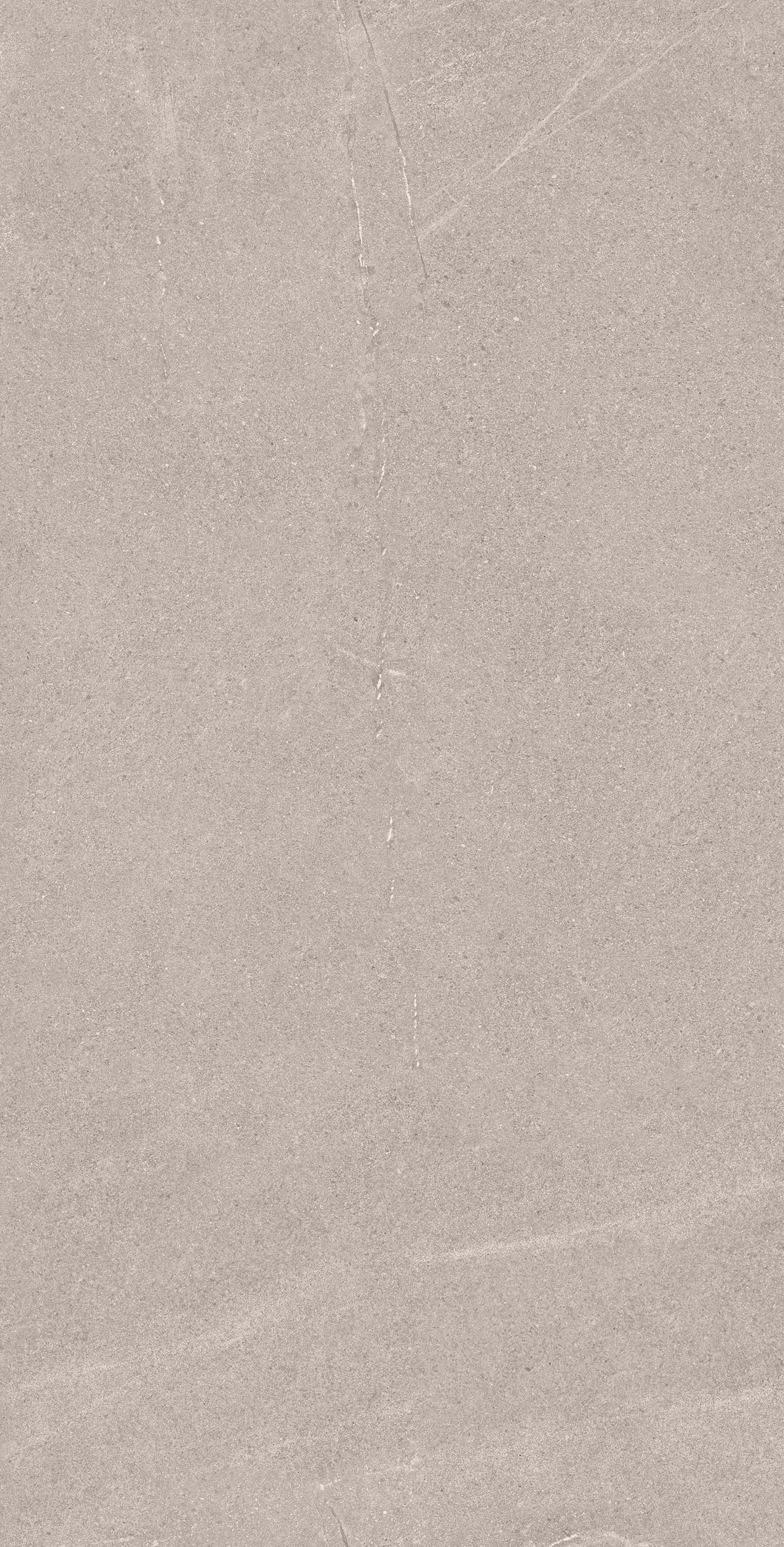 BELLEVUE GREY 60X120 INOUT MATE RECT