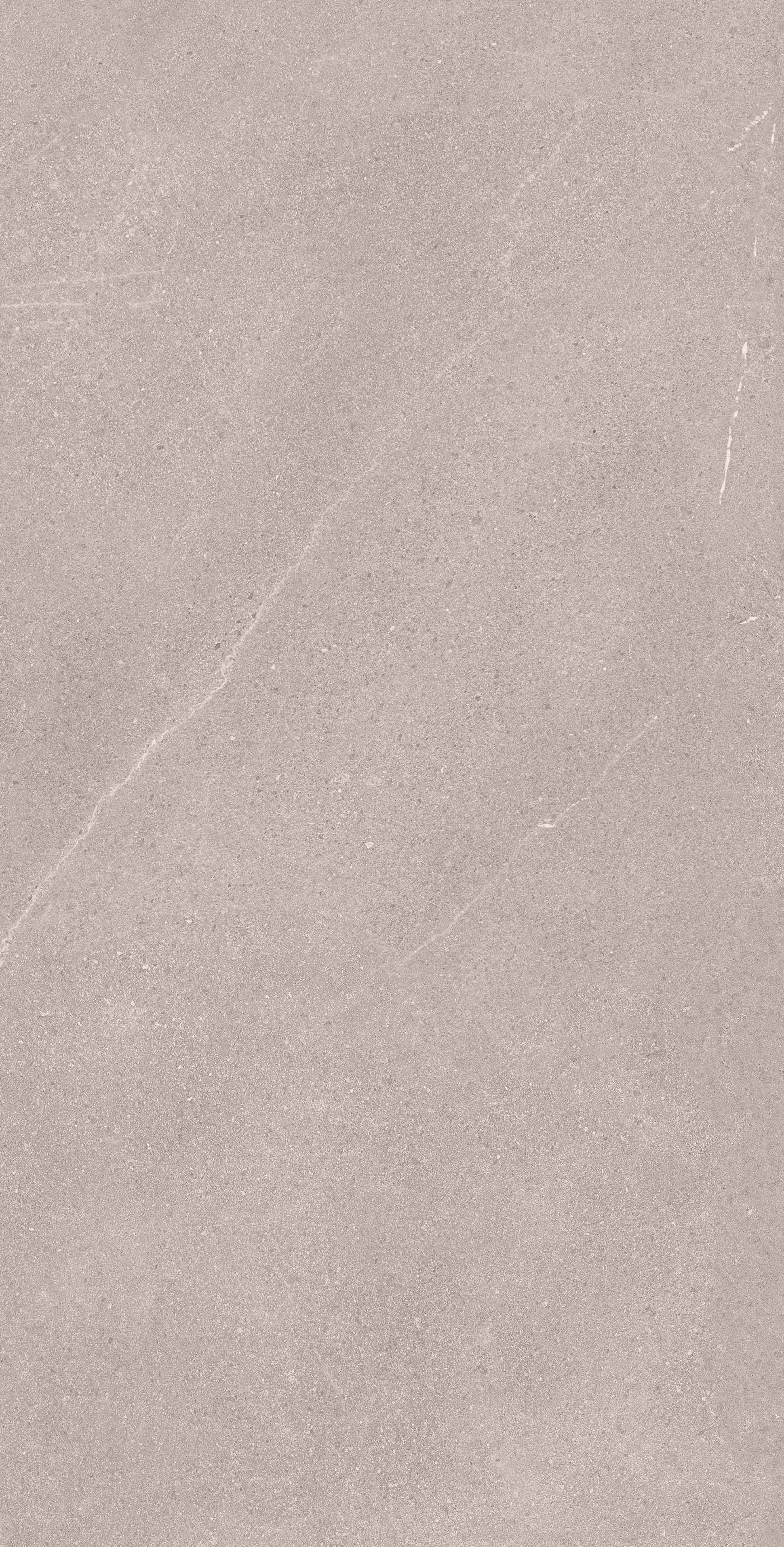 BELLEVUE GREY 60X120 INOUT MATE RECT