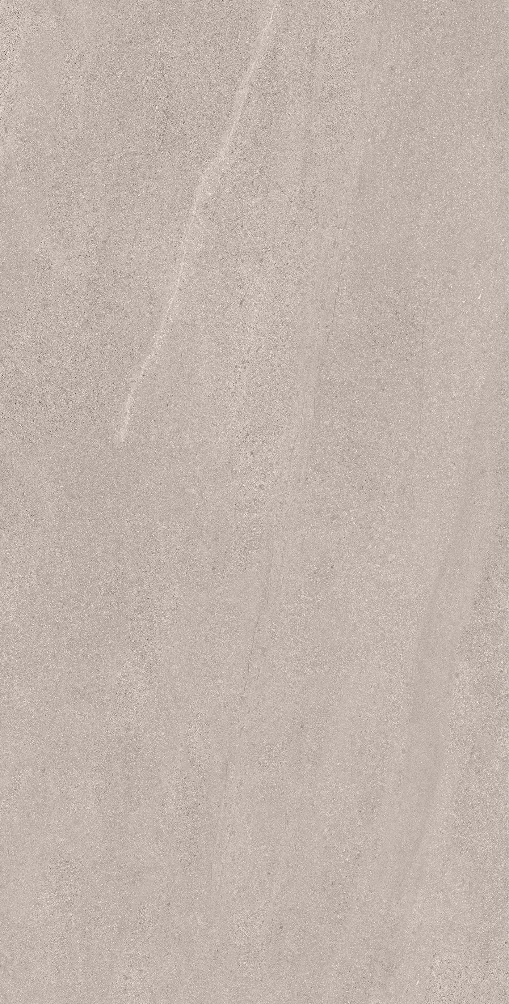 BELLEVUE GREY 60X120 INOUT MATE RECT
