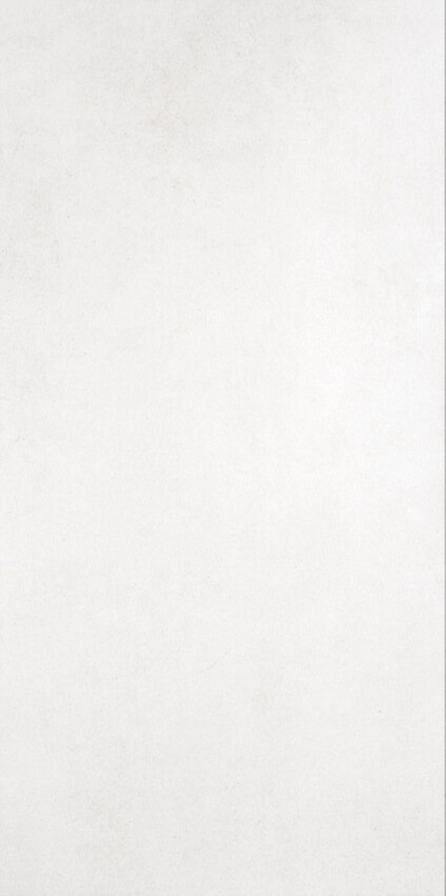ESSENTIAL BLANCO 80x160 MATE RECT