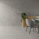 NAXOS SILVER 80X160 MATE RECT