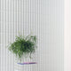 SOLID COVER WHITE 7.5X30 NATURAL