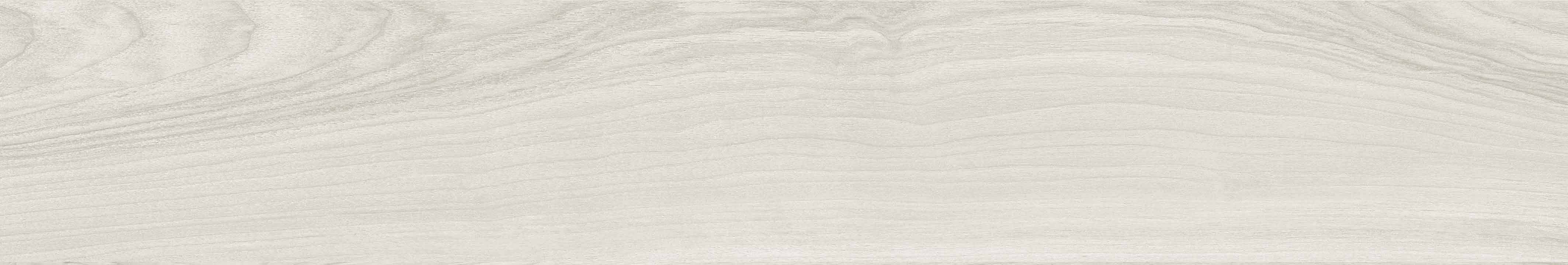 TIMBER ASH 20X120 NATURAL RECTIFICADO