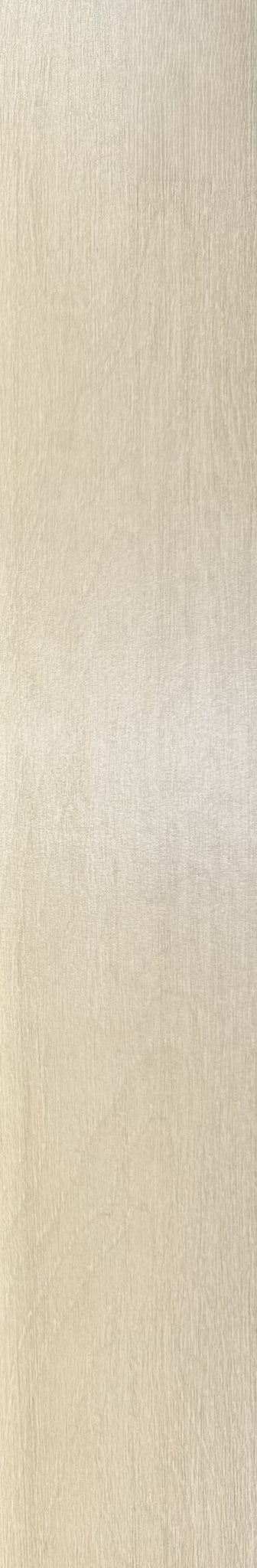 D-BORNEO COLORADO IVORY 15X90 MATE RECT