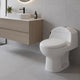 SANITARIO AQUA III BLANCO 67X41X60 CMS