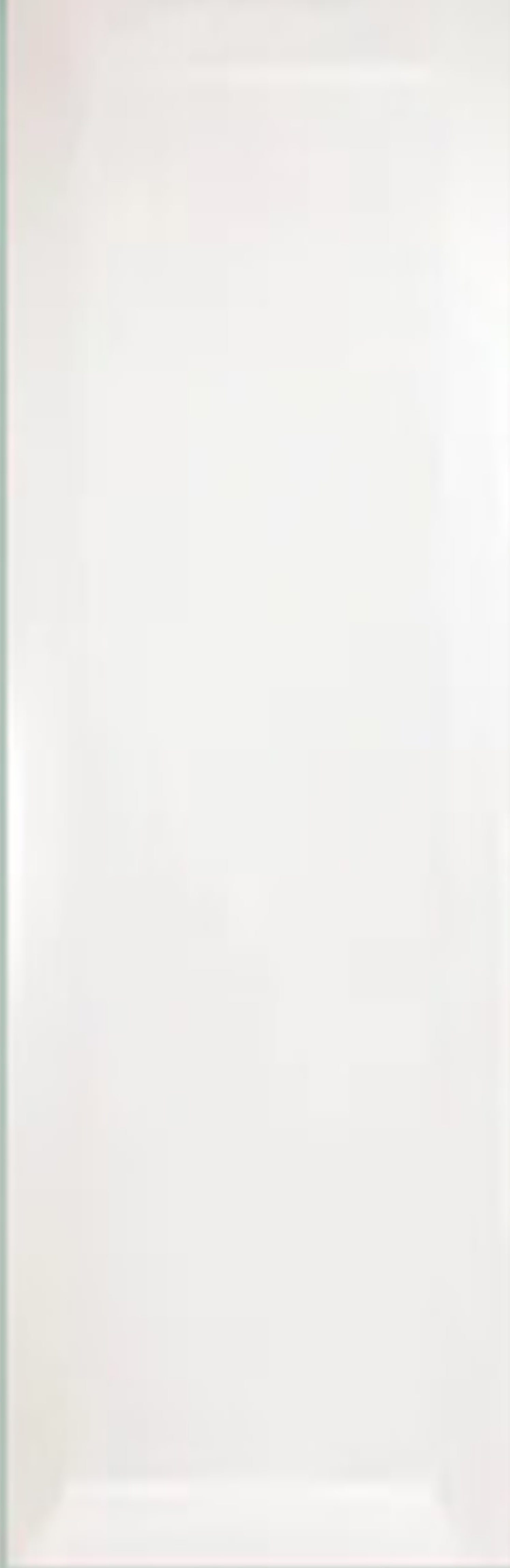 BRICK WHITE BEVEL 7.5X30 BRILLANTE