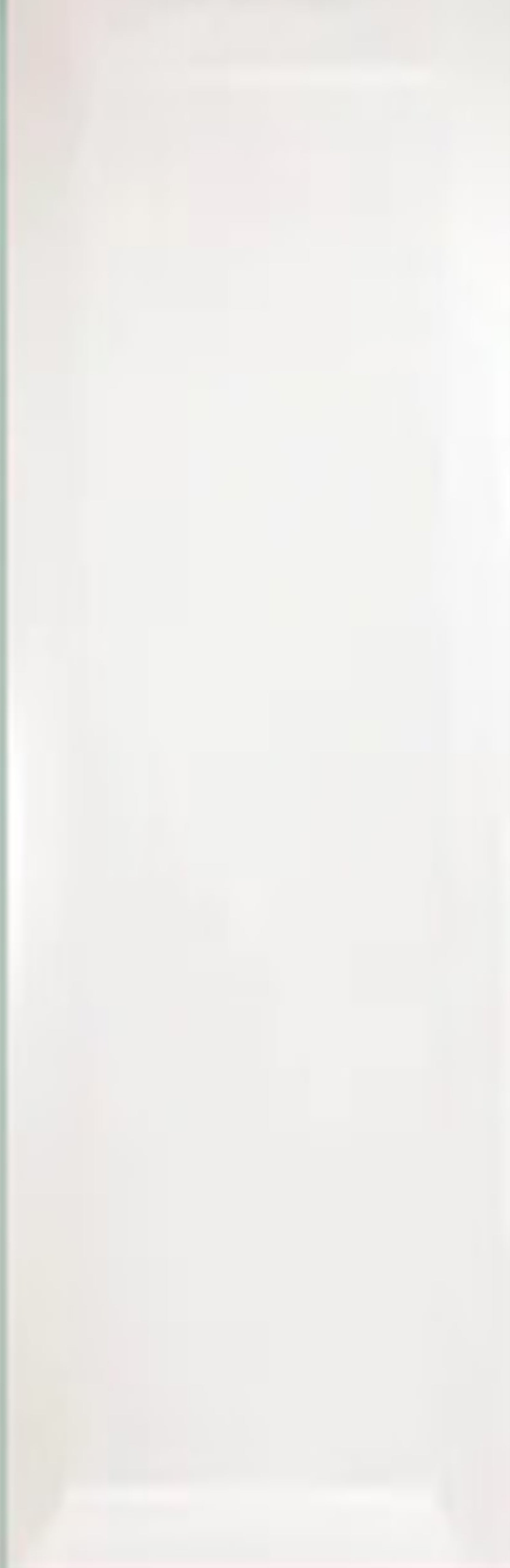 BRICK WHITE BEVEL 7.5X30 MATE