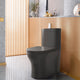 SANITARIO ONE PIECE FERRARA GRIS MATE