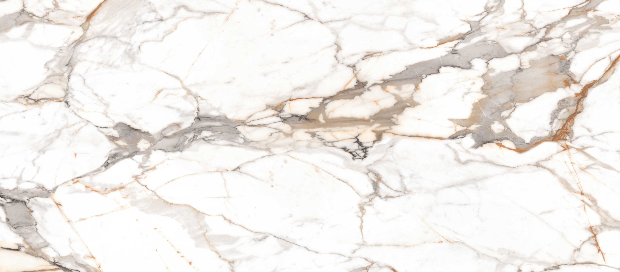 CALACATTA WILD 120X278 DIGITAL MATT  REC