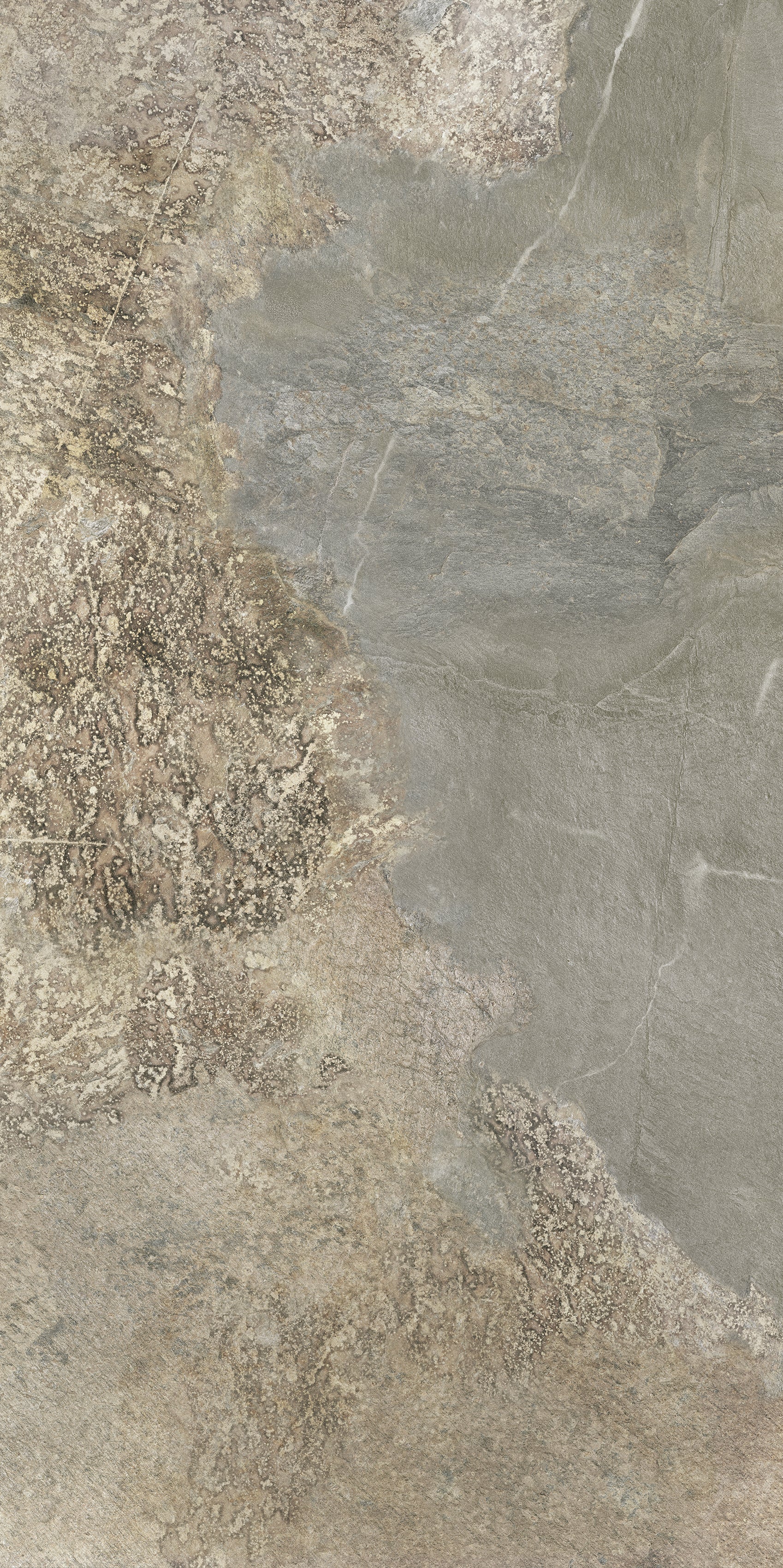 AMENDOA 60X120 MATE RECTIFICADO – Attmosferas