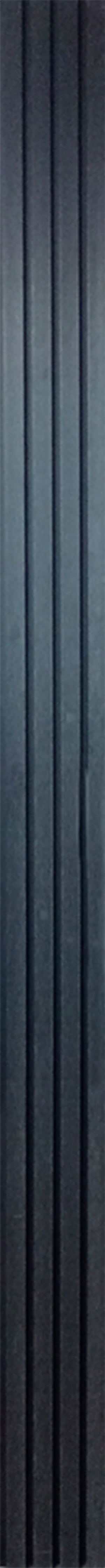 PANEL WPC COEX BLACK  2900X219X26MM