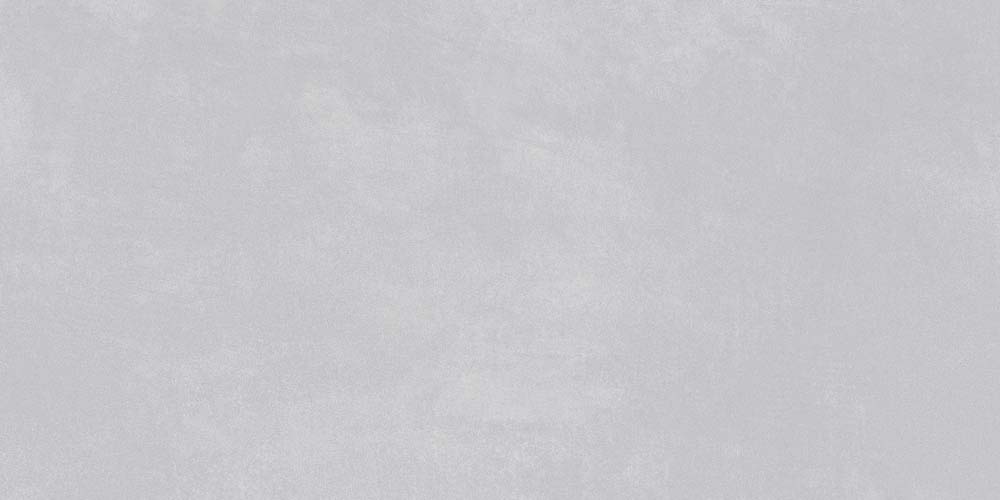 GRES NEO GREY 60X120 MATE RECT