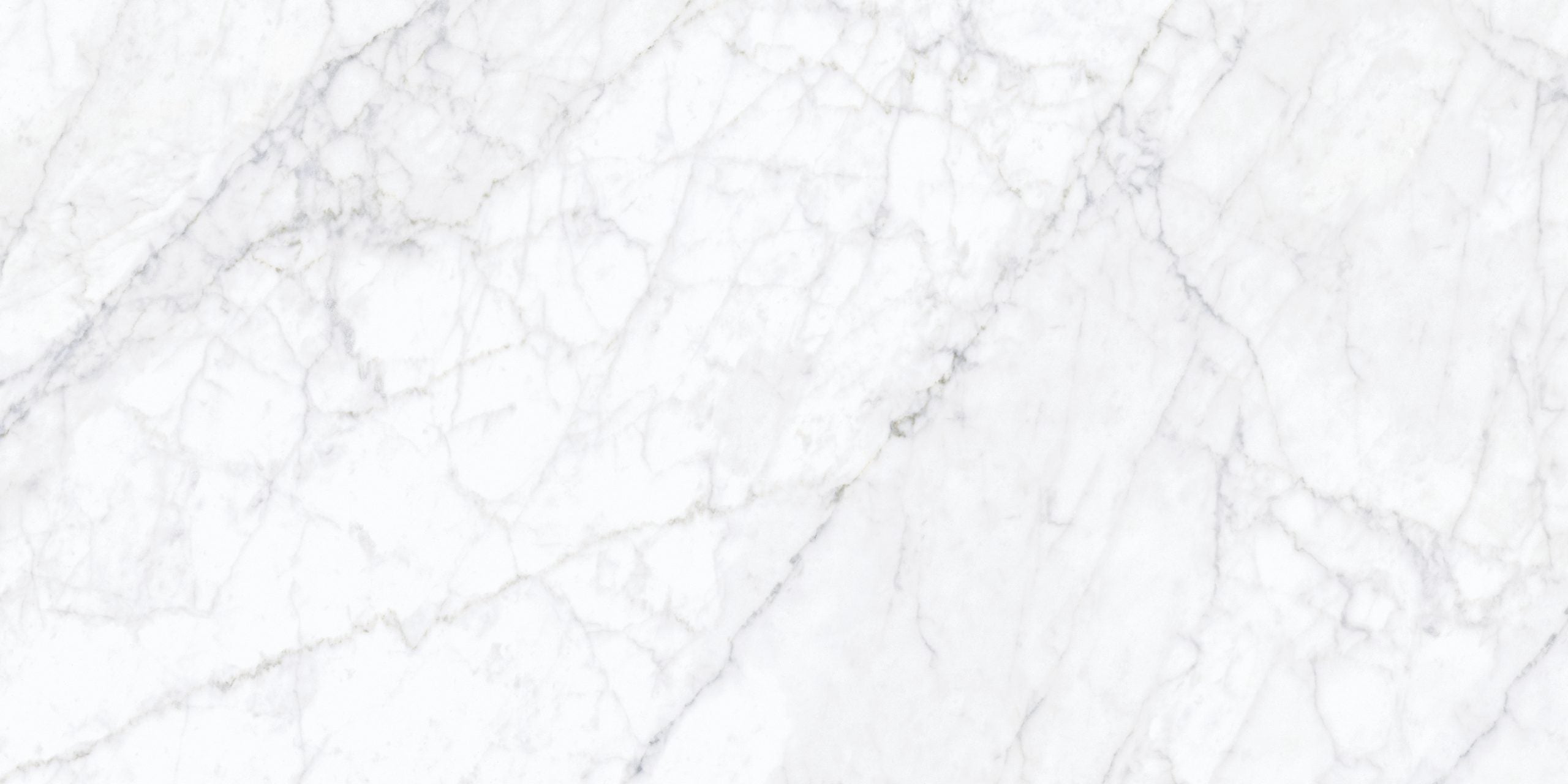 CARRARA FOGG 59.8X119.8 MATE RECT