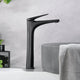 GRIFERIA LAV ALTA BORA GUN METAL