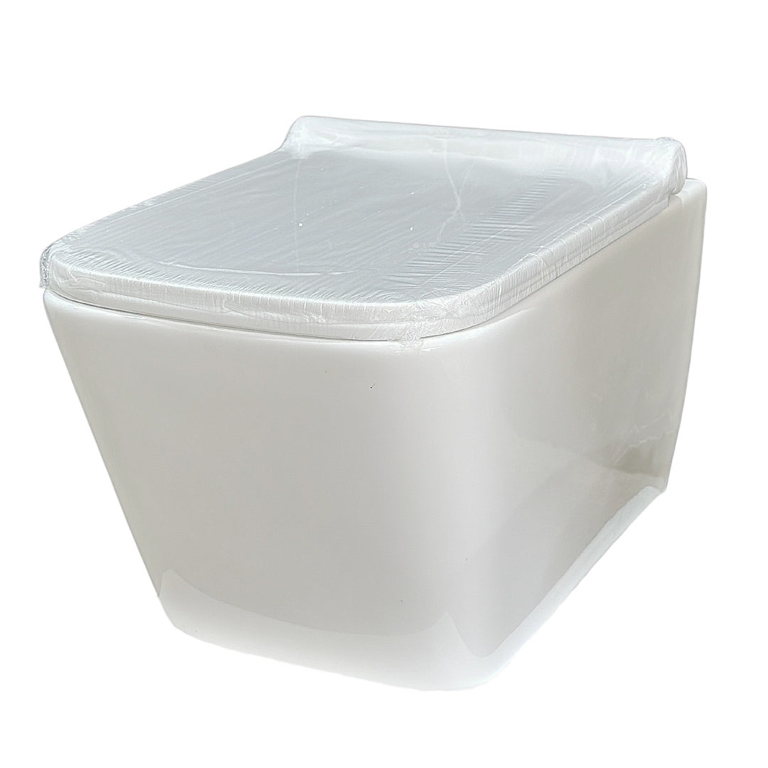 COMBO Sanitario de Colgar Oglio II + Cisterna Placa Cromo BR Para Sant Susp