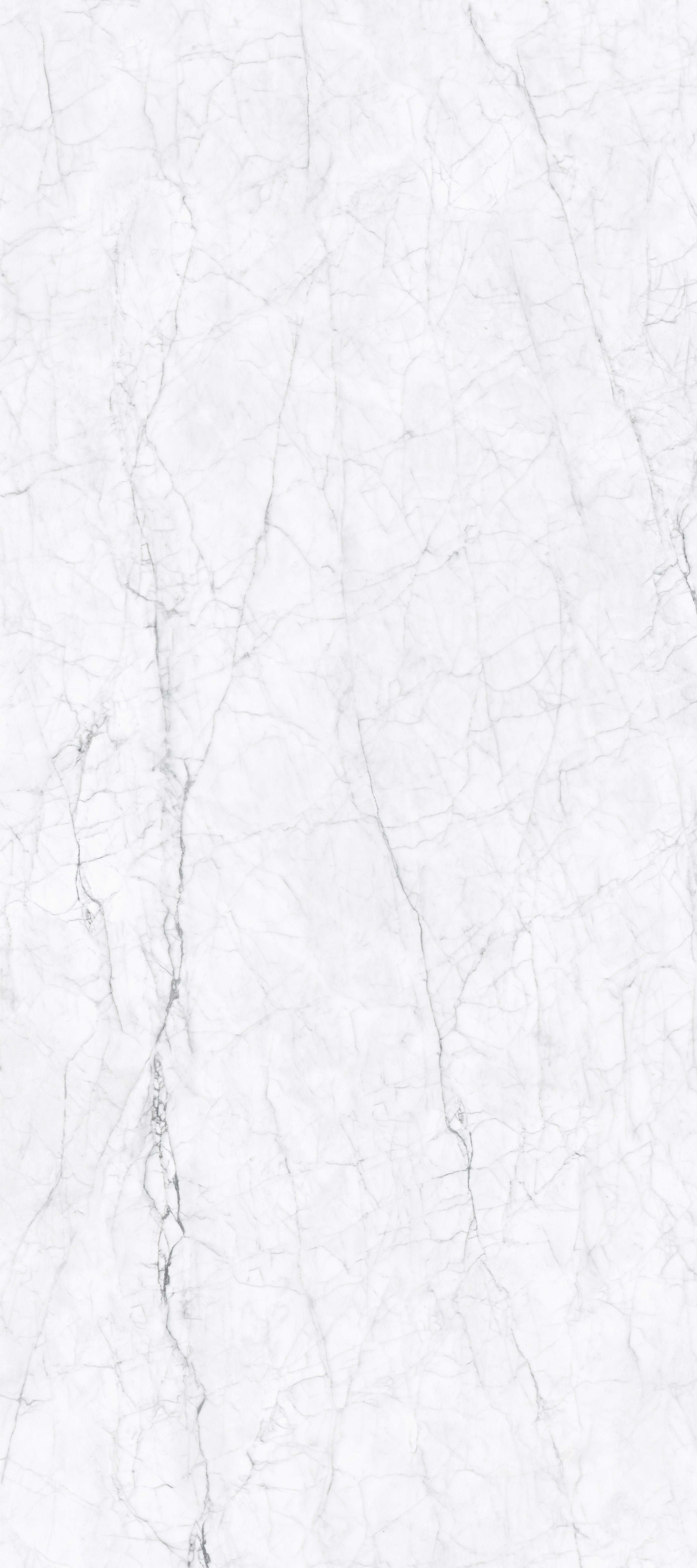 ITALIAN CARRARA WHITE 120X270 12 MM BR R