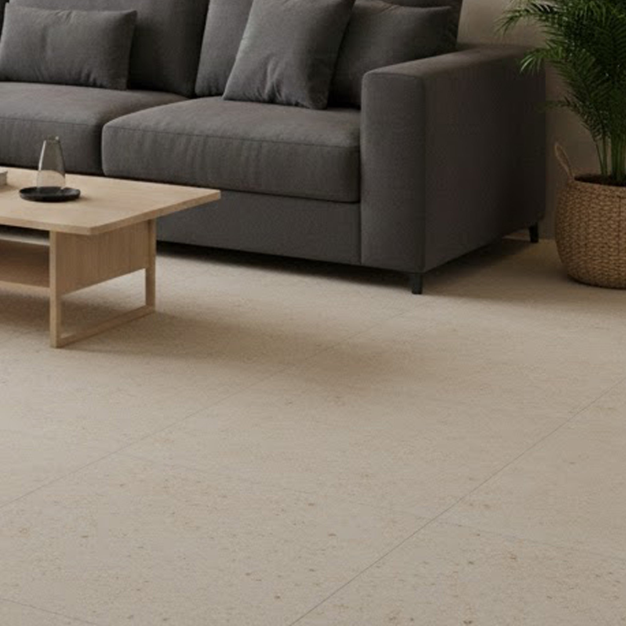 AVENUE BEIGE 30X60 TEXTURE MATE