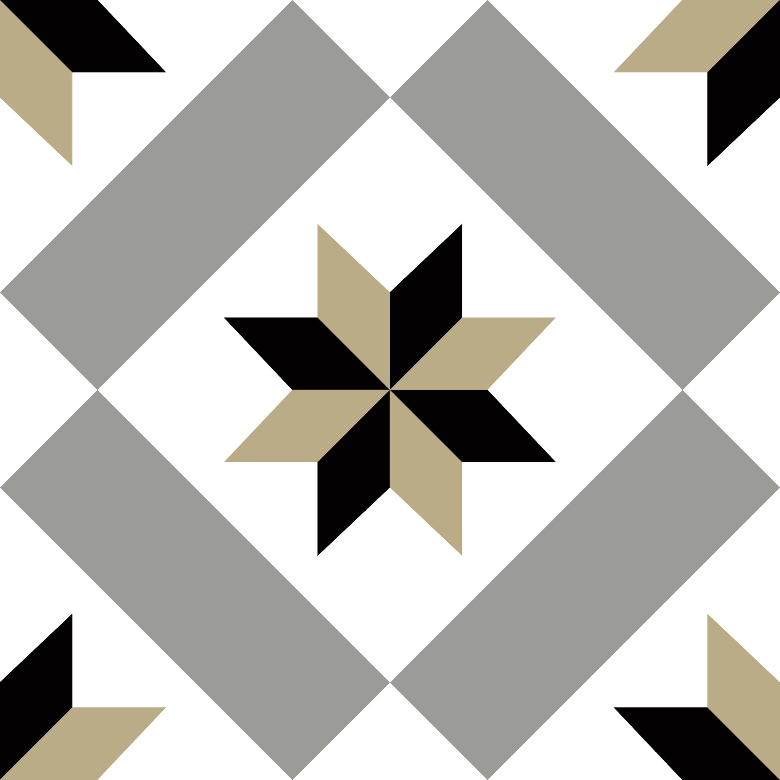 HIDRAULICO REGINA DECOR 20X20 MATE