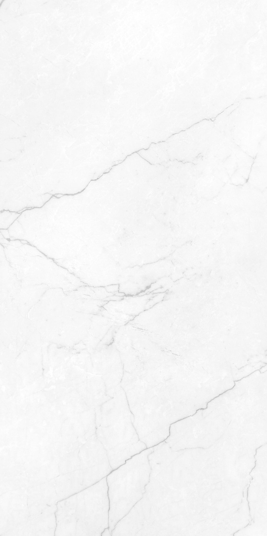 DORNE BLANCO 60X120 THINR ESMAL RECT