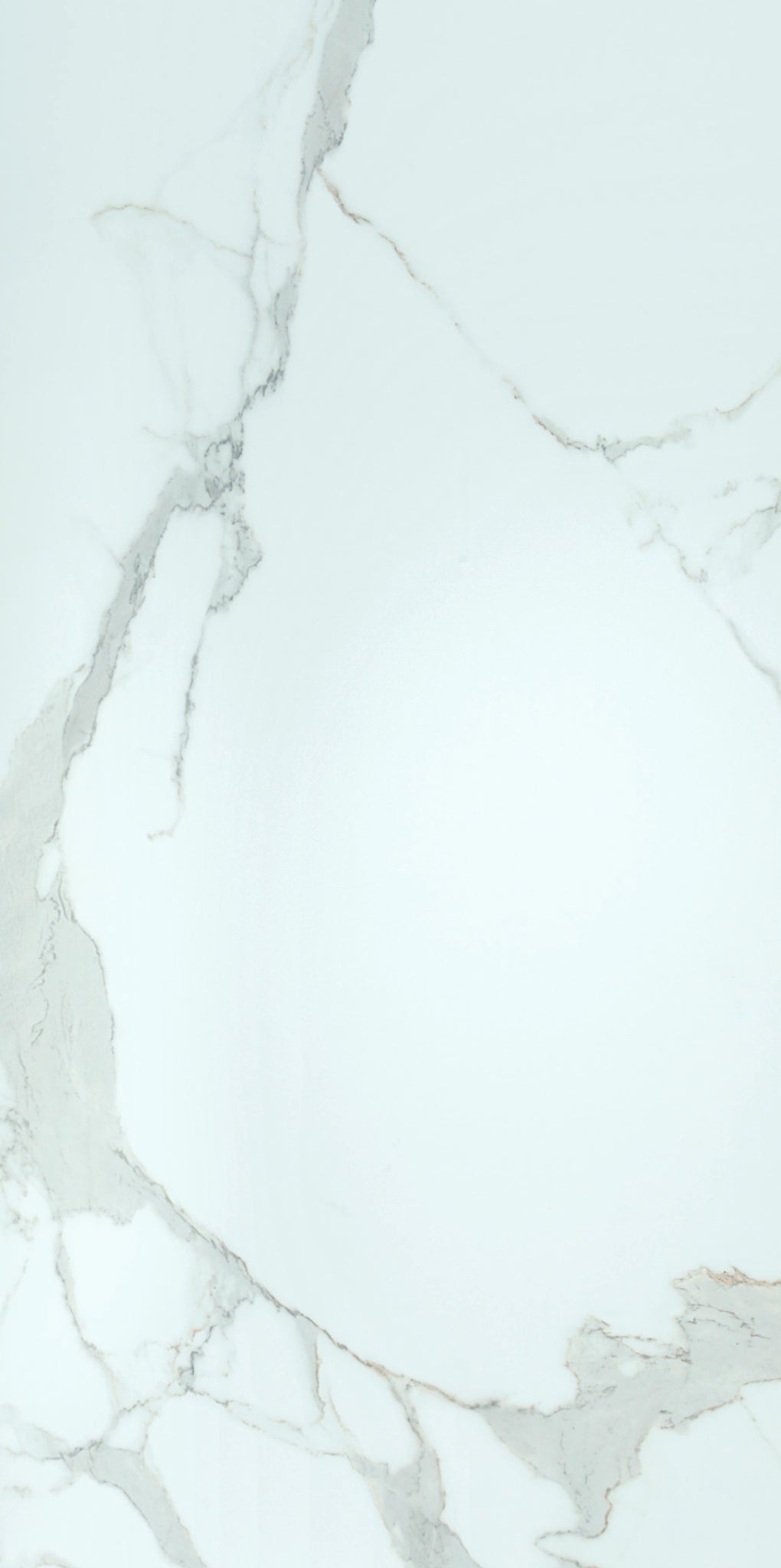 CARRARA ULTRA WHITE 60X120 THINR RECT