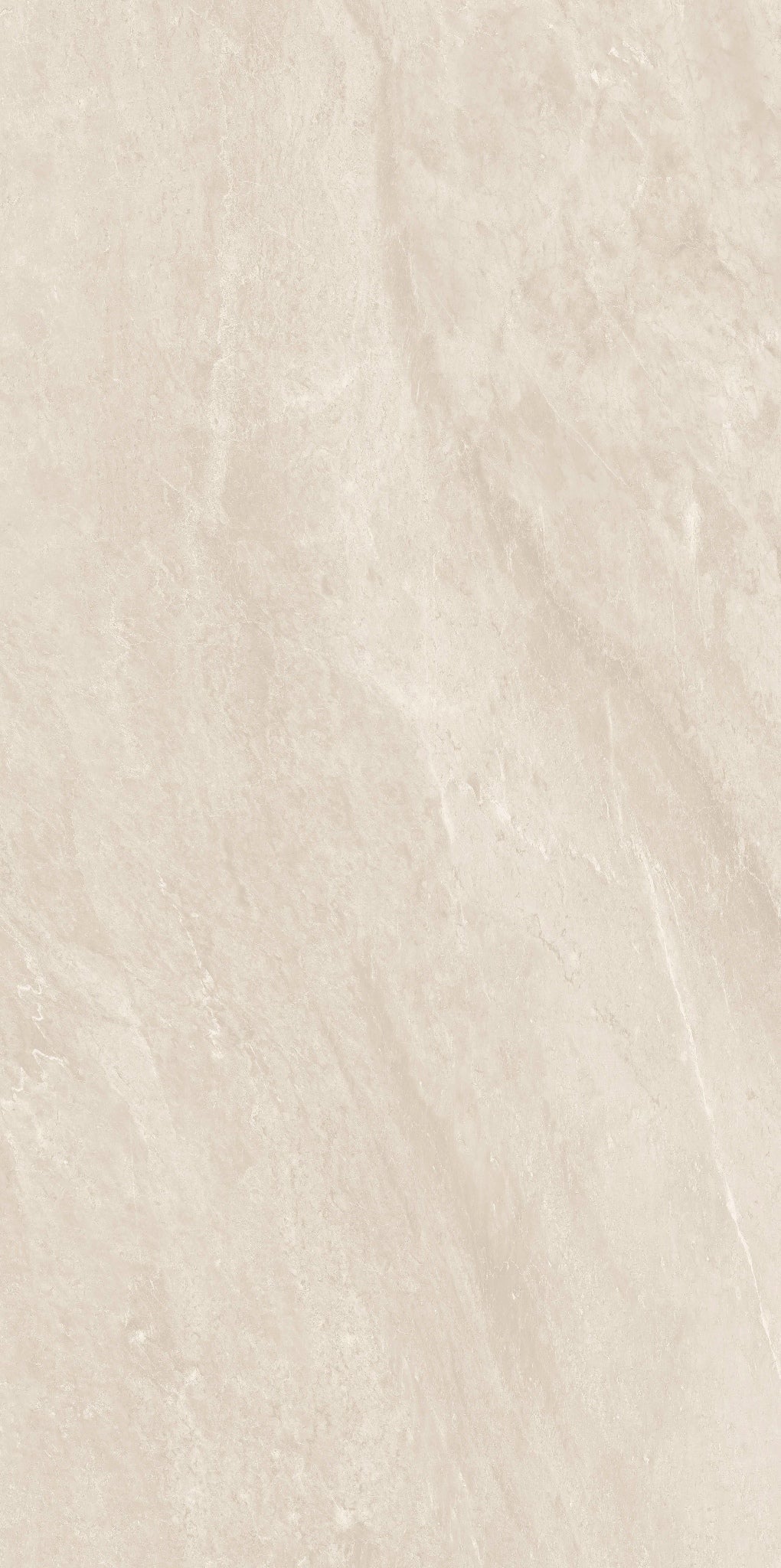 STONE PRO ASH 60X120 THINR