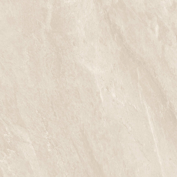 STONE PRO ASH 60X120 THINR