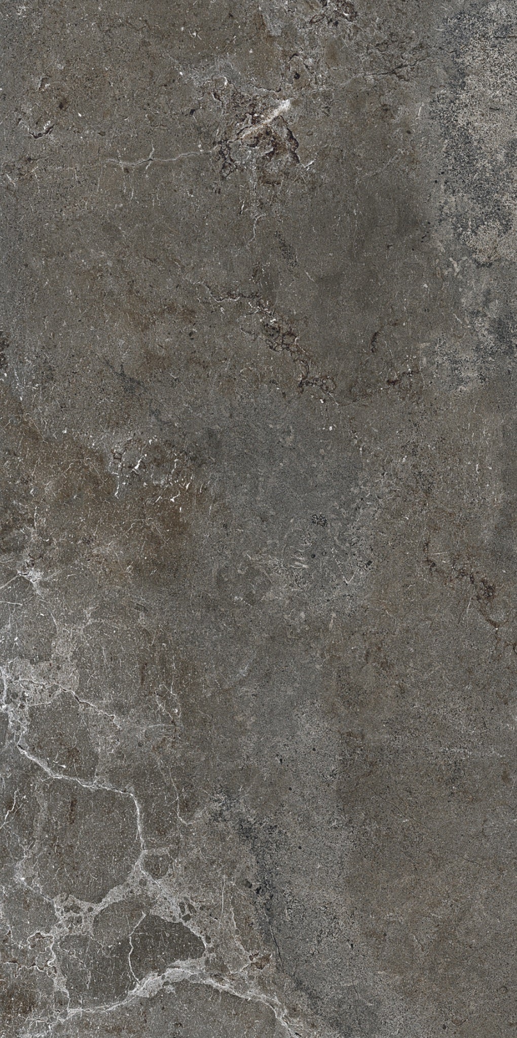 SATURNIA DARK 60X120 THINR